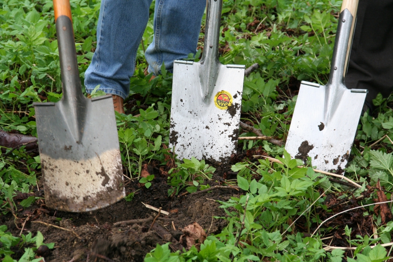 pepiniere-SOSPEL-min_work-lawn-flower-tool-green-backyard-1103633-pxhere.com